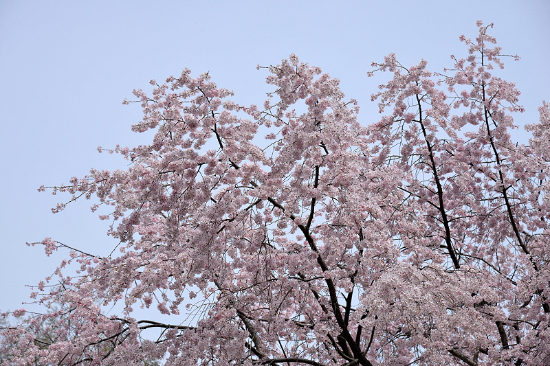 image0198