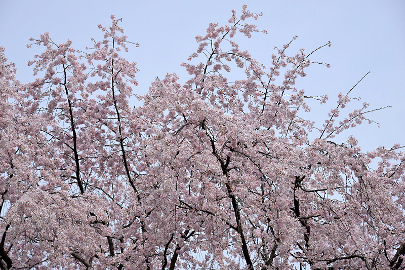 image0199