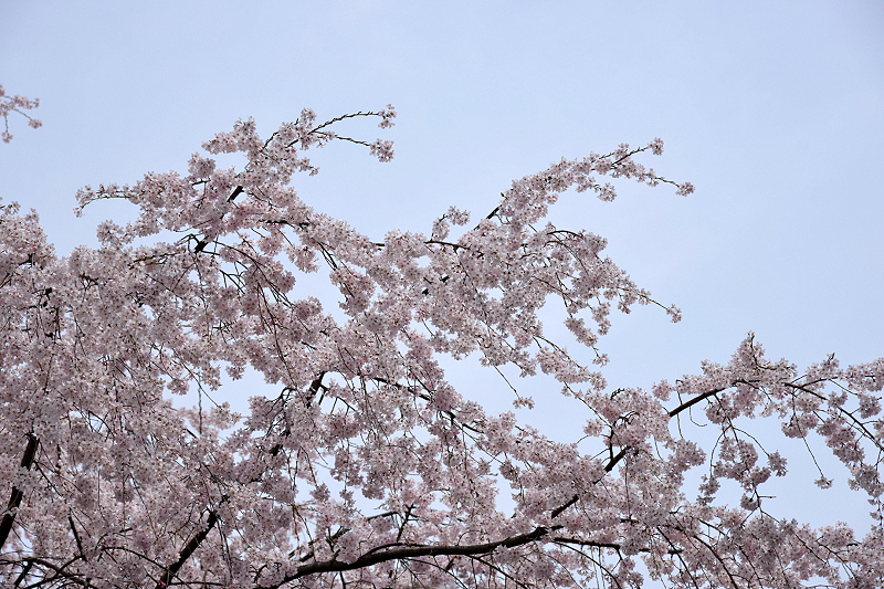 image0200
