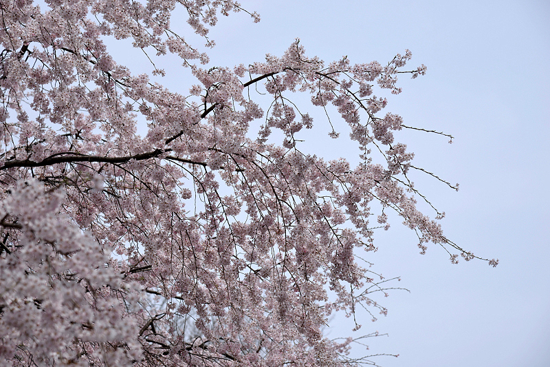 image0201