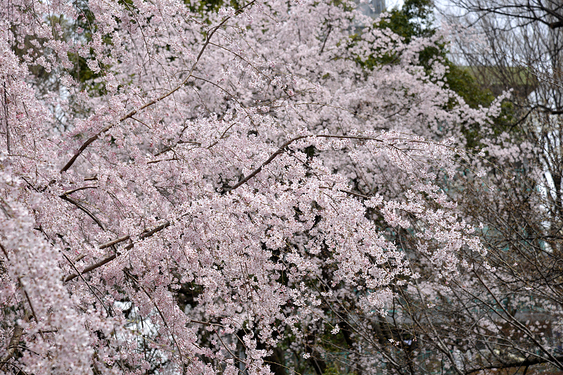 image0202
