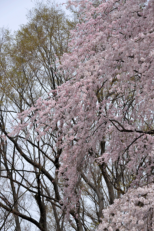 image0203