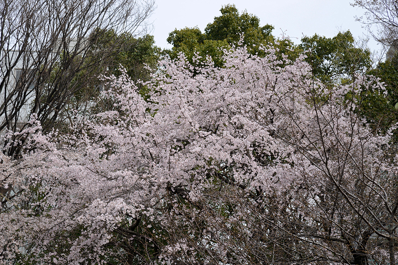 image0204