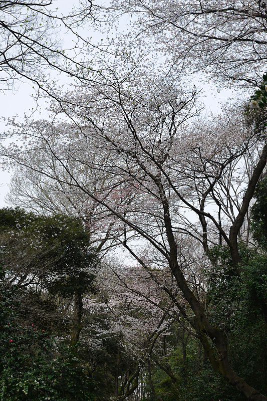 image0206