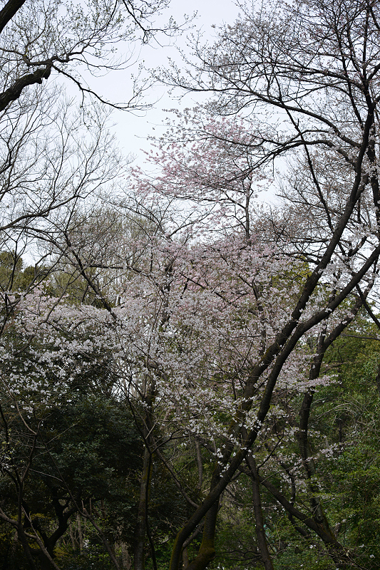 image0207