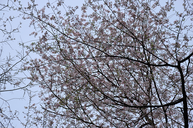 image0208