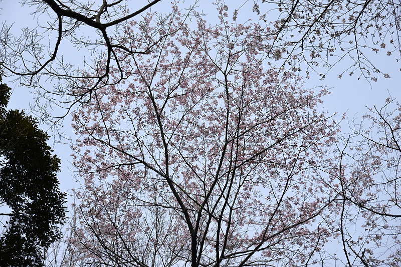 image0209
