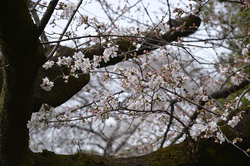 image0210