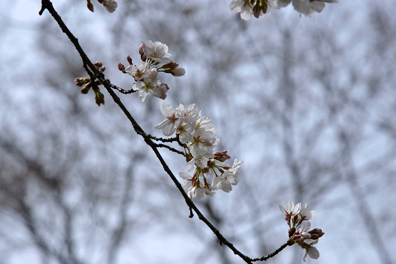 image0211