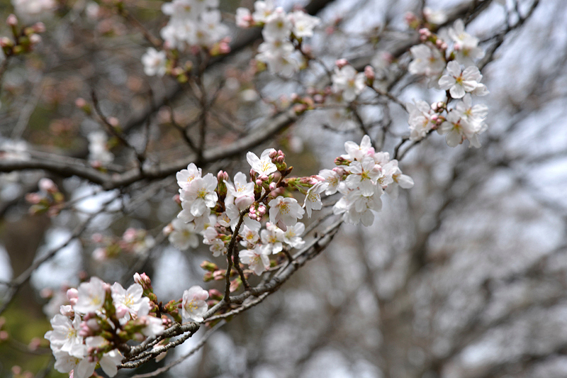 image0213