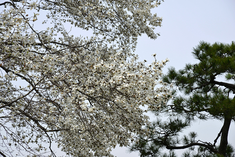 image0215