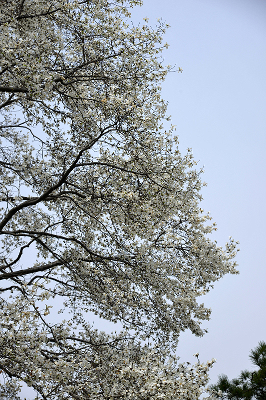 image0216