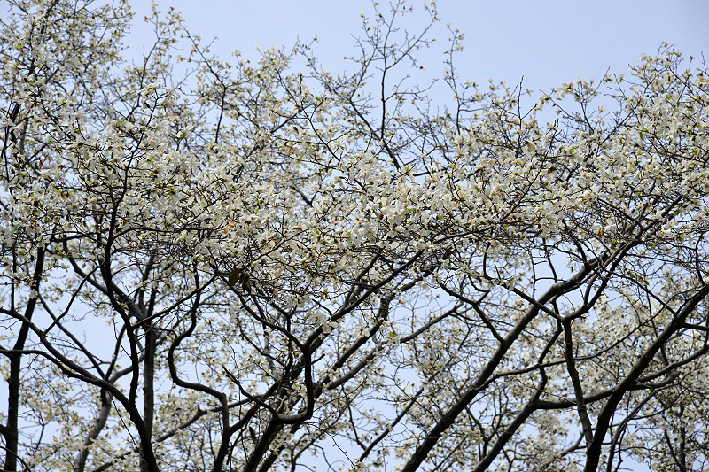 image0217