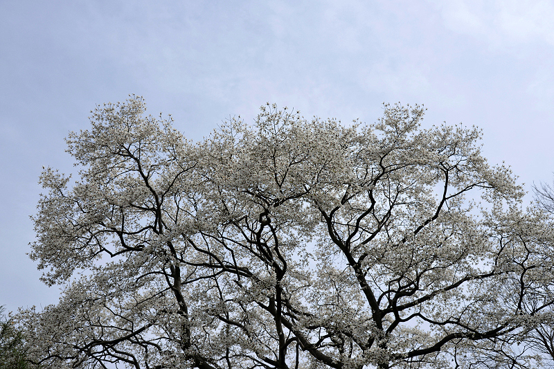image0218