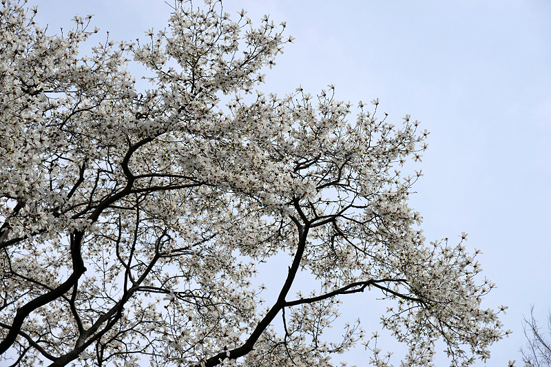 image0220