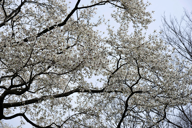 image0221