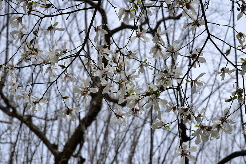 image0222