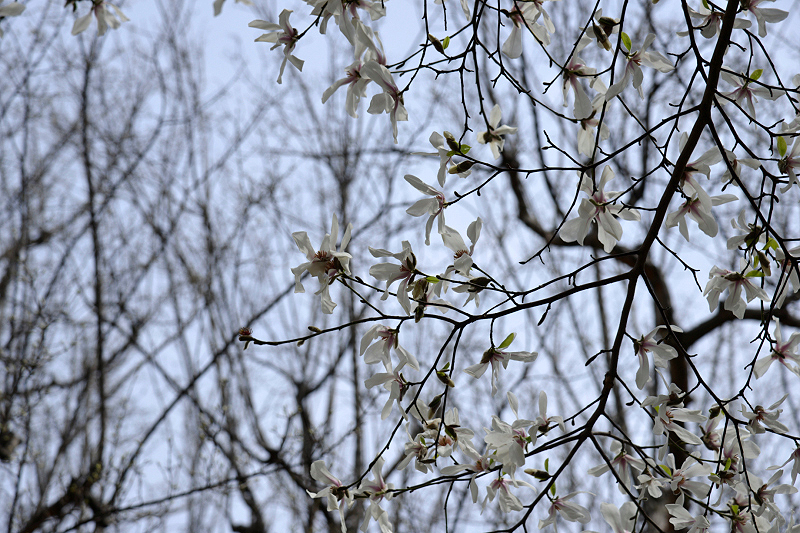 image0223