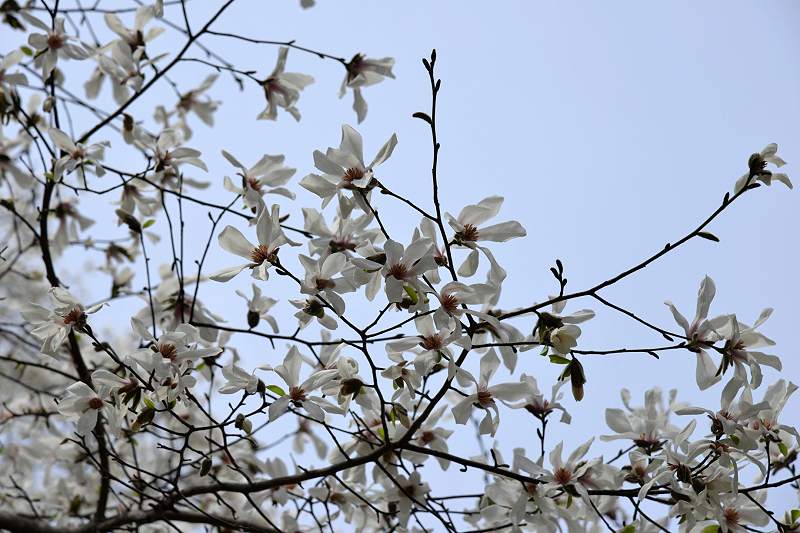 image0224