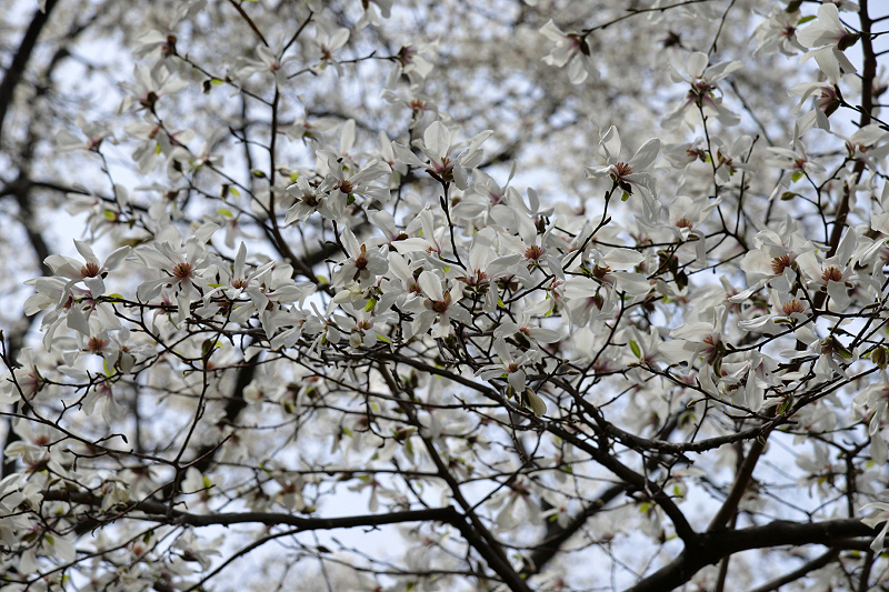image0225