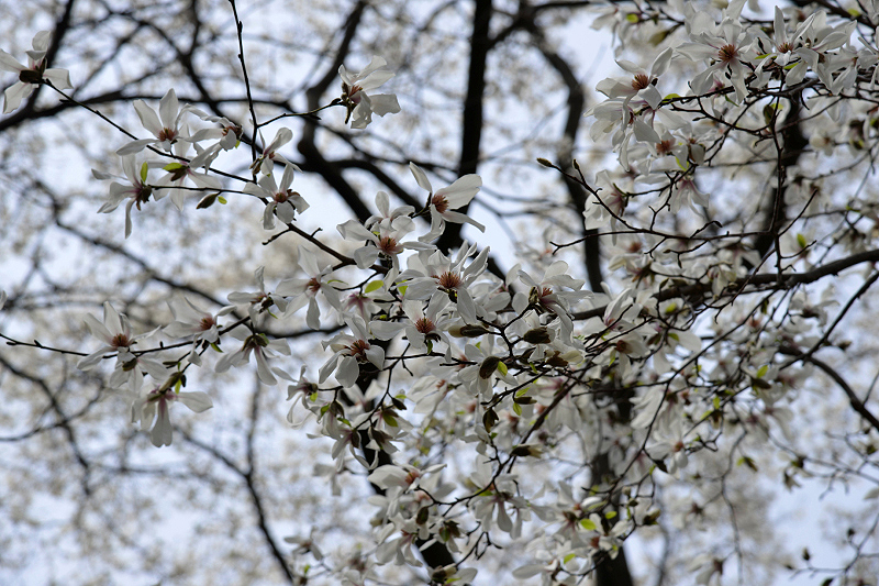 image0226