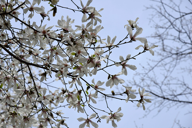 image0227