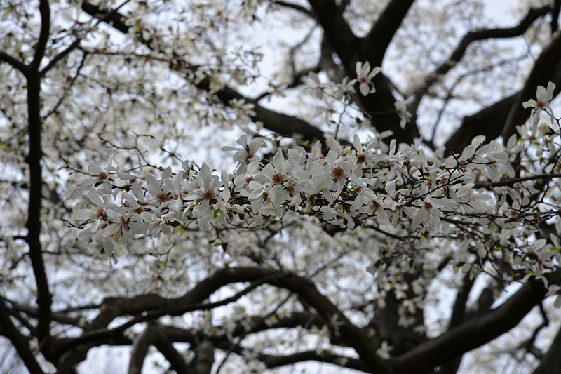 image0228