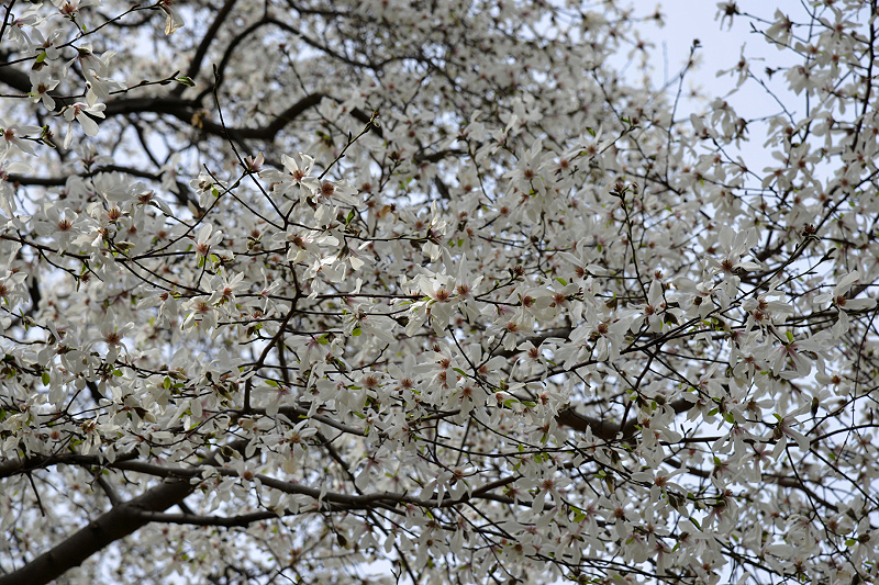 image0229