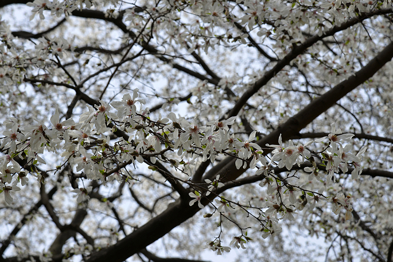 image0230
