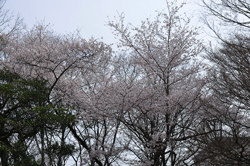 image0231