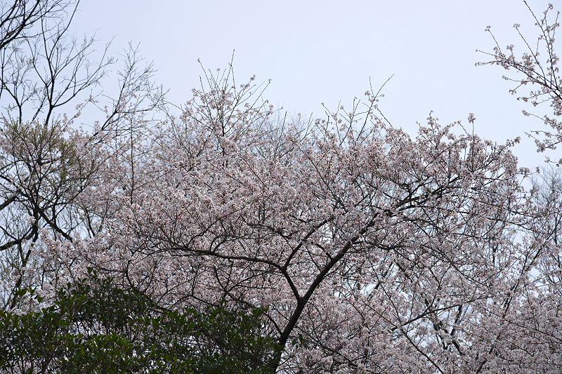 image0232
