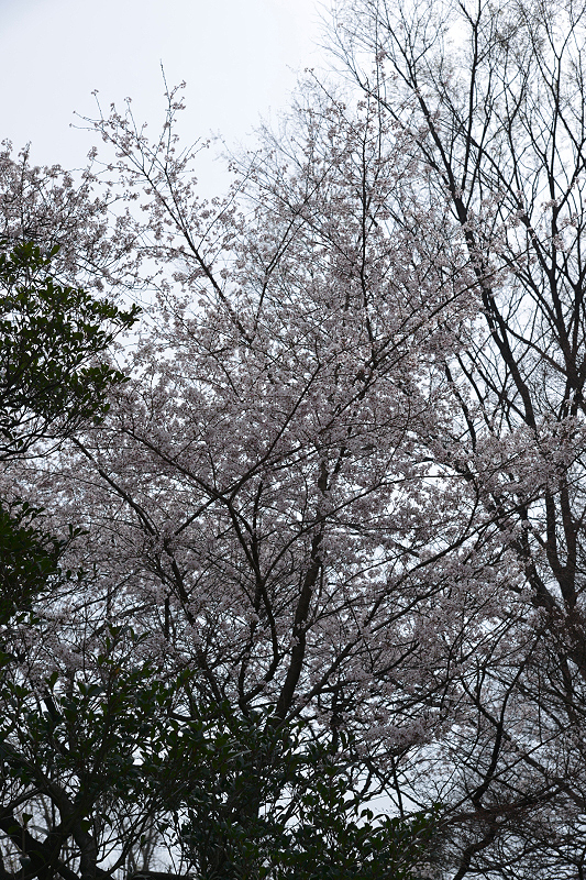 image0234