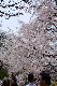 image0130