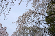 image0132