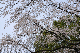 image0133