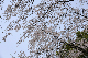 image0134