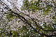 image0137