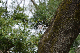 image0138
