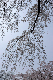 image0140