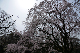 image0142
