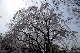 image0143