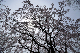 image0146
