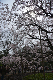 image0147