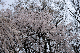 image0151