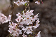 image0154