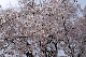 image0157