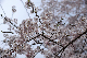 image0164