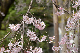 image0167