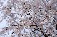 image0172