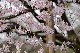 image0173